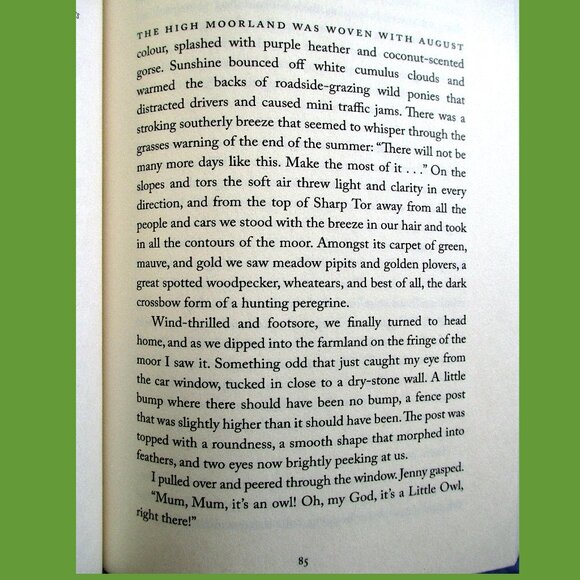 Book - The Wise Hours: A Journey into the Wild and Secret World of Owls - Picture 10 of 15